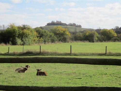 Apartamento The Red Barn Long Wittenham Exterior foto